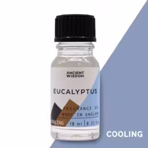 10ml Eucalyptus Fragrance Oil | www.artisan-gifts.co.uk 1