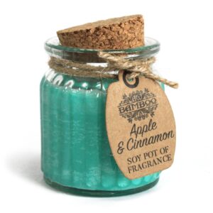 Apple & Cinnamon Soy Pot of Fragrance Candles | www.artisan-gifts.co.uk 1