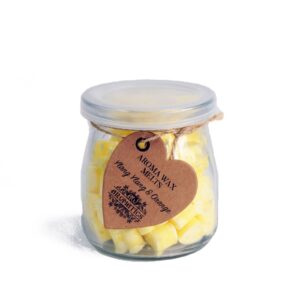 Aroma Wax Melts – Nutmeg & Lemon | www.artisan-gifts.co.uk 1