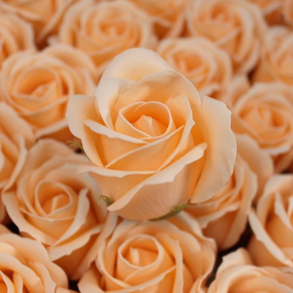 Craft Soap Flowers - Med Rose - Peach - Image 5