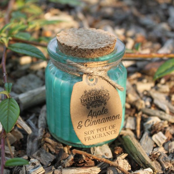 Apple & Cinnamon Soy Pot of Fragrance Candles - Image 4