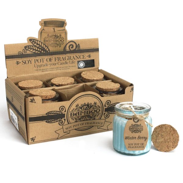 Winter Berry Soy Pot of Fragrance Candles - Image 2
