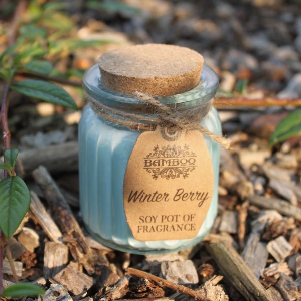 Winter Berry Soy Pot of Fragrance Candles - Image 5