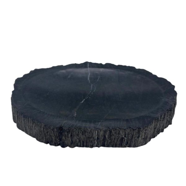 Petrified Wood Black Soap Dish - Image 3