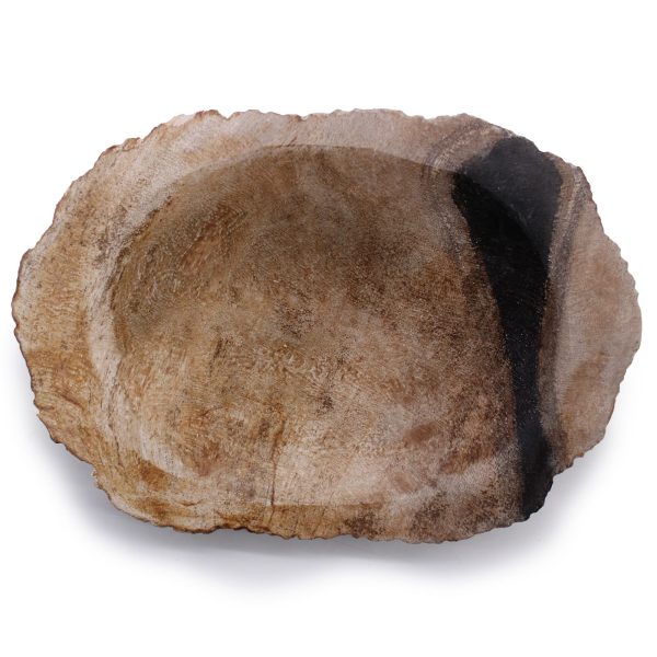 Petrified Wood Black Soap Dish - Image 5