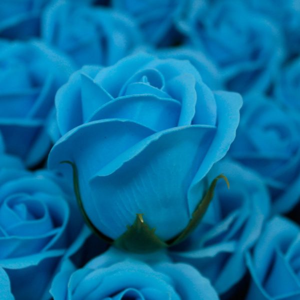 Craft Soap Flowers - Med Rose - Royal Blue - Image 4