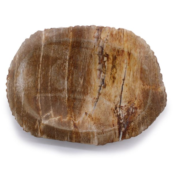 Petrified Wood Brown Soap Dish - Image 2