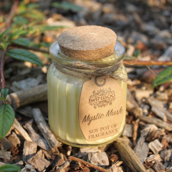 Mystic Musk Soy Pot of Fragrance Candles - Image 5
