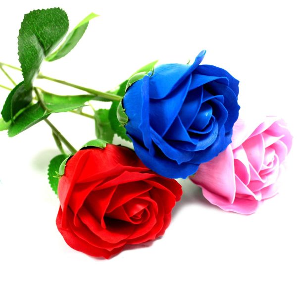 Single Rose - Blue  Rose - Image 4