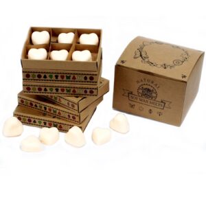 Box of 6  Wax Melts – Cinnamon & Orange | www.artisan-gifts.co.uk 1