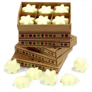 Box of 6  Wax Melts – Lemon Harvest | www.artisan-gifts.co.uk 1