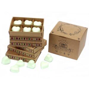 Box of 6  Wax Melts – Mint & Menthol | www.artisan-gifts.co.uk 1