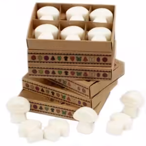 Box of 6 Wax Melts – White Musk | www.artisan-gifts.co.uk 1