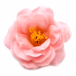 Craft Soap Flower – Camellia – Light Pink | www.artisan-gifts.co.uk 1