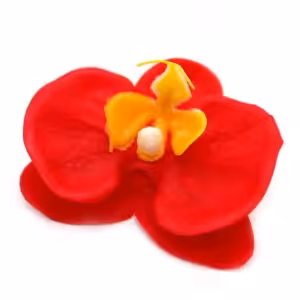 Craft Soap Flower – Paeonia – Red | www.artisan-gifts.co.uk 1