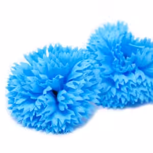Craft Soap Flowers – Carnations – Sky Blue | www.artisan-gifts.co.uk 1