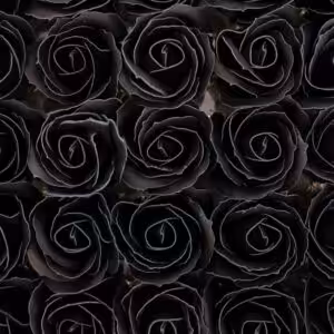 Craft Soap Flowers – Med Rose – Black With white Rim | www.artisan-gifts.co.uk 1