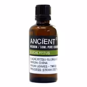 Eucalyptus Essential Oil 50ml | www.artisan-gifts.co.uk 1