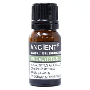 Eucalyptus Organic Essential Oil 10ml | www.artisan-gifts.co.uk 1