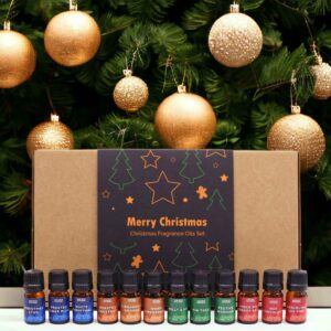 Festive Delights Fragrance Set | www.artisan-gifts.co.uk 1