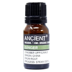 Ginger Organic Essential Oil 10ml | www.artisan-gifts.co.uk 1