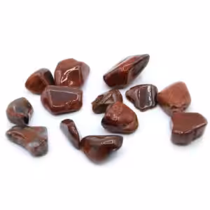 L Tumble Stones – Petrified Wood | www.artisan-gifts.co.uk