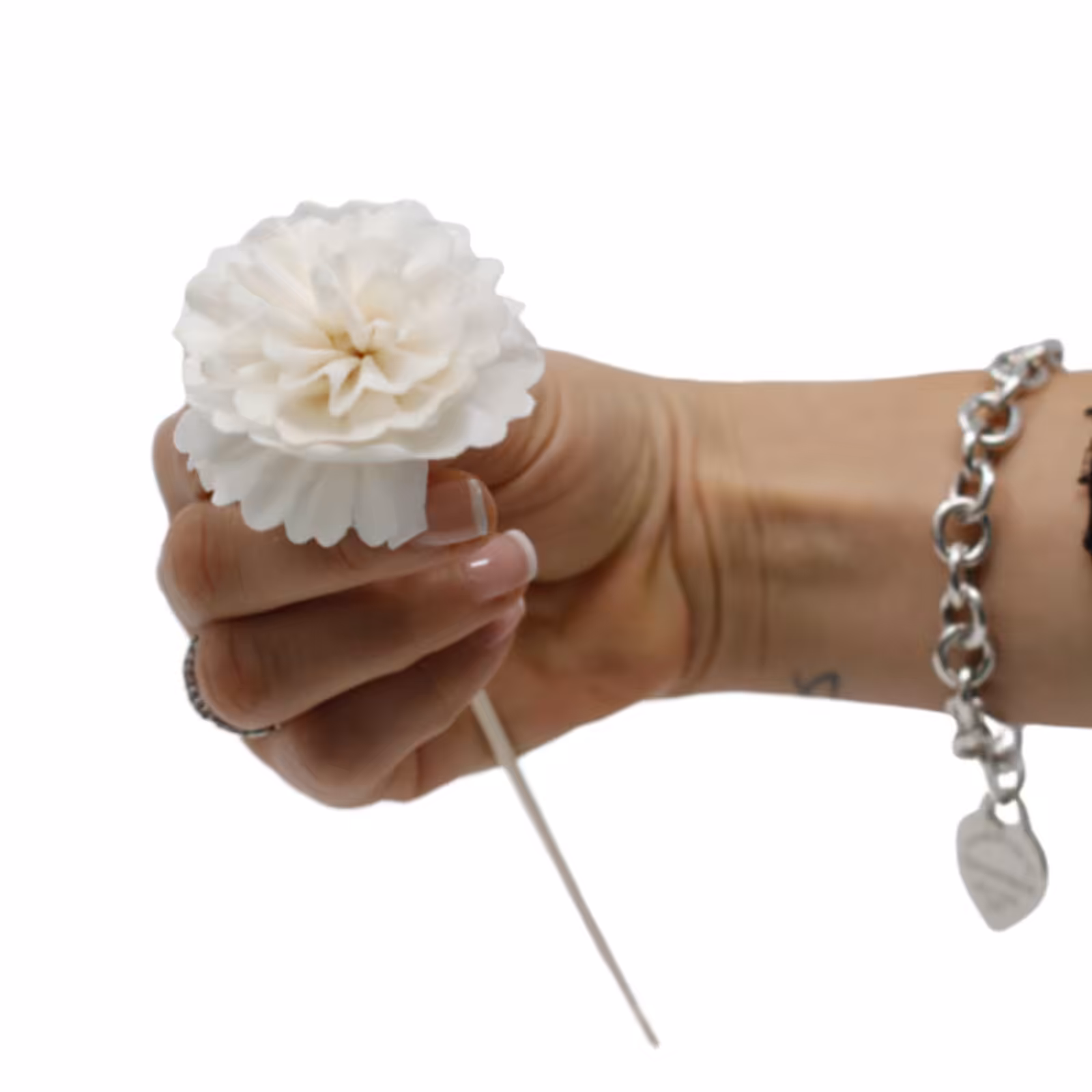 Natural Diffuser Flowers – Carnation on Reed | www.artisan-gifts.co.uk 5 Natural Diffuser Flowers – Carnation on Reed | www.artisan-gifts.co.uk 4