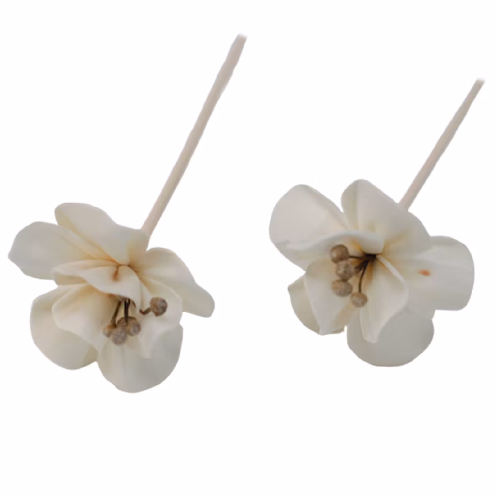 Natural Diffuser Flowers – Lily on Reed | www.artisan-gifts.co.uk 3 Natural Diffuser Flowers – Lily on Reed | www.artisan-gifts.co.uk 2