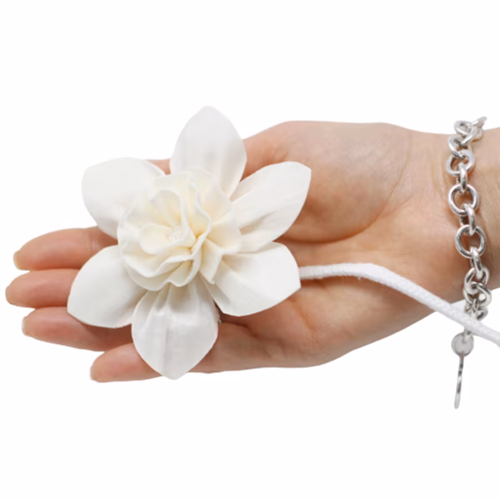 Natural Diffuser Flowers – Lrg Lily on String | www.artisan-gifts.co.uk 4 Natural Diffuser Flowers – Lrg Lily on String | www.artisan-gifts.co.uk 3