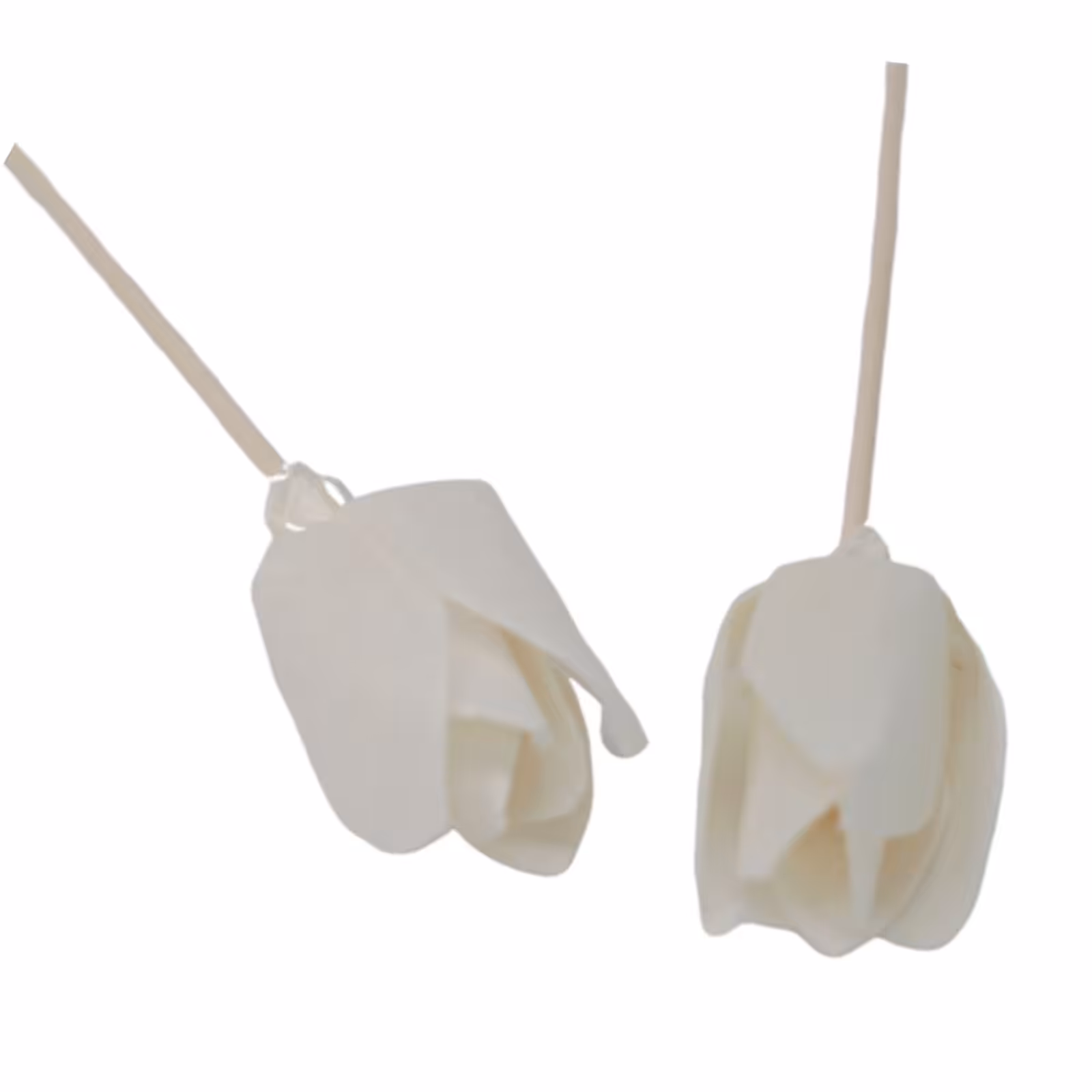 Natural Diffuser Flowers – Tulip on Reed | www.artisan-gifts.co.uk 9 Natural Diffuser Flowers – Tulip on Reed | www.artisan-gifts.co.uk 8