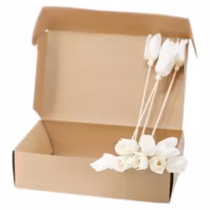 Natural Diffuser Flowers – Tulip on Reed | www.artisan-gifts.co.uk 1