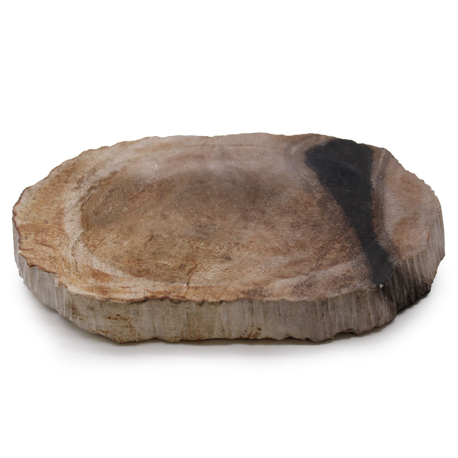 Petrified Wood Black Soap Dish | www.artisan-gifts.co.uk 2 Petrified Wood Black Soap Dish | www.artisan-gifts.co.uk 1