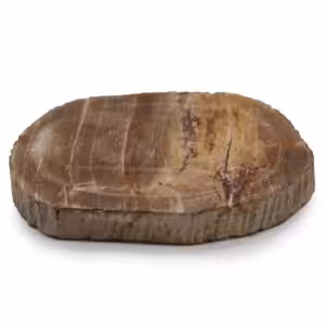 Petrified Wood Brown Soap Dish | www.artisan-gifts.co.uk 1