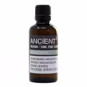 Ravensara Essential Oil 50ml | www.artisan-gifts.co.uk 1