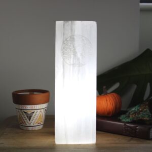 Selenite Block Lamp 25cm – Tree of Life | www.artisan-gifts.co.uk 1