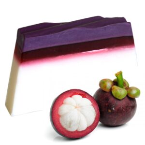 Tropical Paradise Soap Loaf – Mangosteen | www.artisan-gifts.co.uk 1