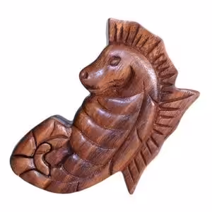 Bali Magic Box – Sea Horse | www.artisan-gifts.co.uk 1