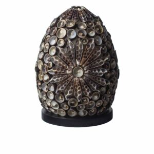 Boho Sea Shell Lamp – Chocolate Twist Oval – 15cm | www.artisan-gifts.co.uk 1