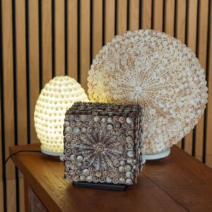 Boho Sea Shell Lamp – Cut Art Shell Oval – 15cm | www.artisan-gifts.co.uk 1