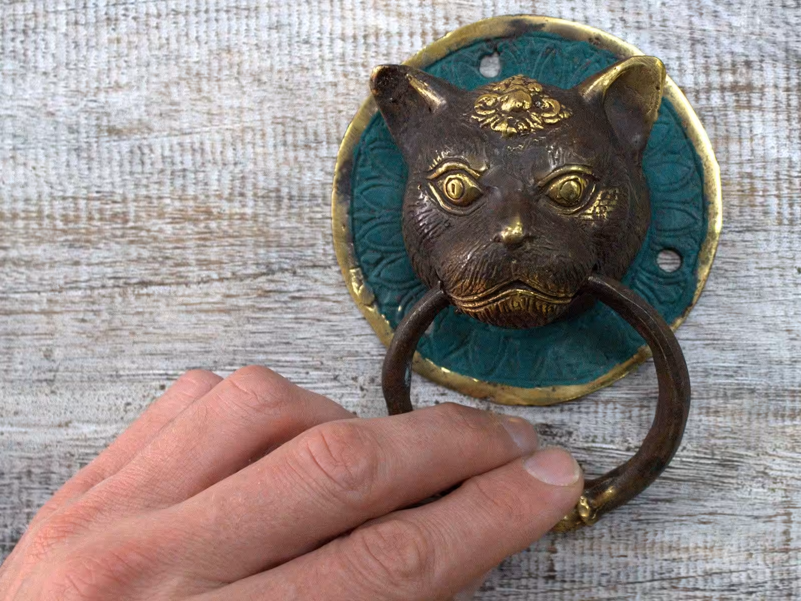 Brass Door Knocker – Tiger Head | www.artisan-gifts.co.uk 4 Brass Door Knocker – Tiger Head | www.artisan-gifts.co.uk 3