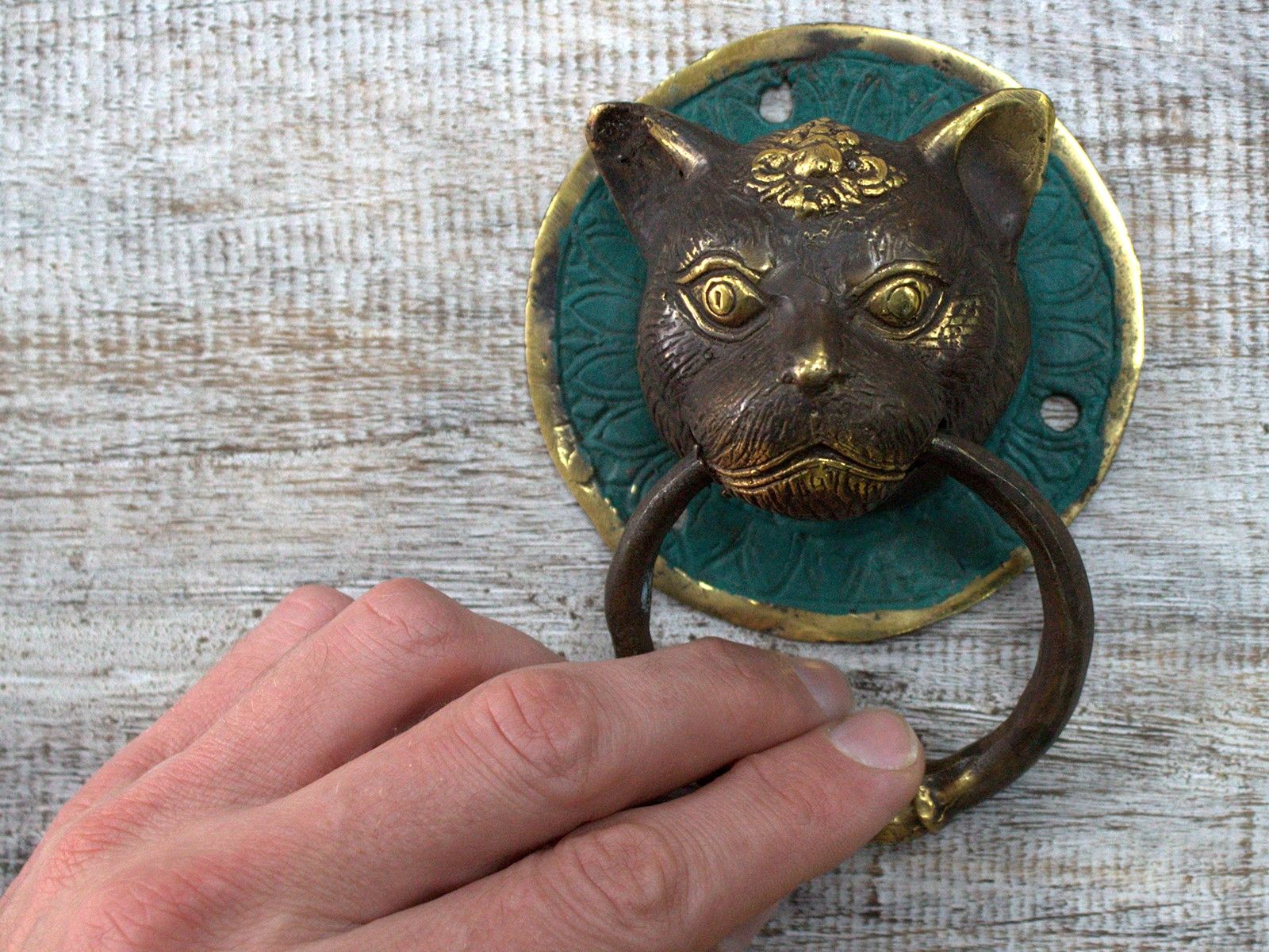 Brass Door Knocker – Tiger Head | www.artisan-gifts.co.uk 4 Brass Door Knocker – Tiger Head | www.artisan-gifts.co.uk 3
