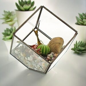 Glass Terrarium – Cube on Corner | www.artisan-gifts.co.uk 1