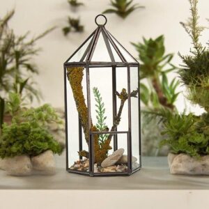 Glass Terrarium – Lantern Shape | www.artisan-gifts.co.uk 1