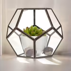 Glass Terrarium – Large Octagon | www.artisan-gifts.co.uk 1