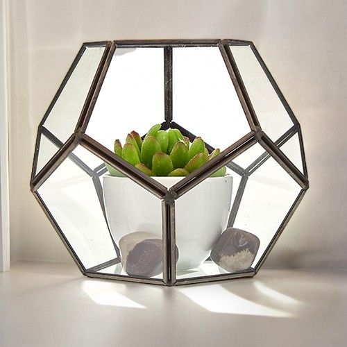 Glass Terrarium – Large Octagon | www.artisan-gifts.co.uk 2 Glass Terrarium – Large Octagon | www.artisan-gifts.co.uk 1