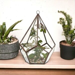 Glass Terrarium – Large Pentagon | www.artisan-gifts.co.uk 1