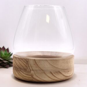 Large Terrarium on Natural Tung Wood | www.artisan-gifts.co.uk 1