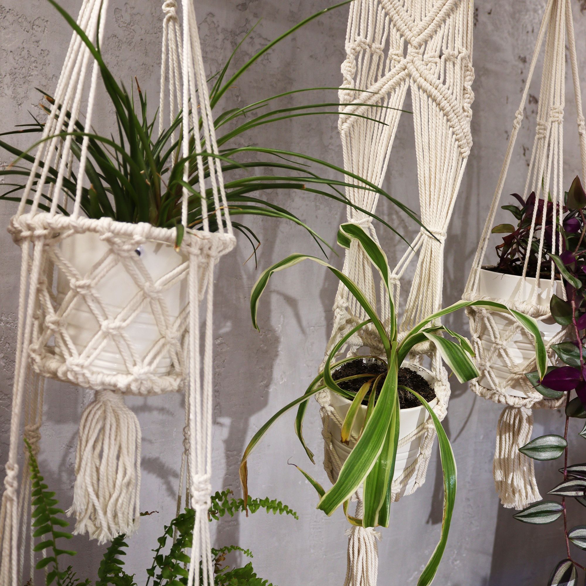 Macrame Pot Holder – Double Holder | www.artisan-gifts.co.uk 12 Macrame Pot Holder – Double Holder | www.artisan-gifts.co.uk 11