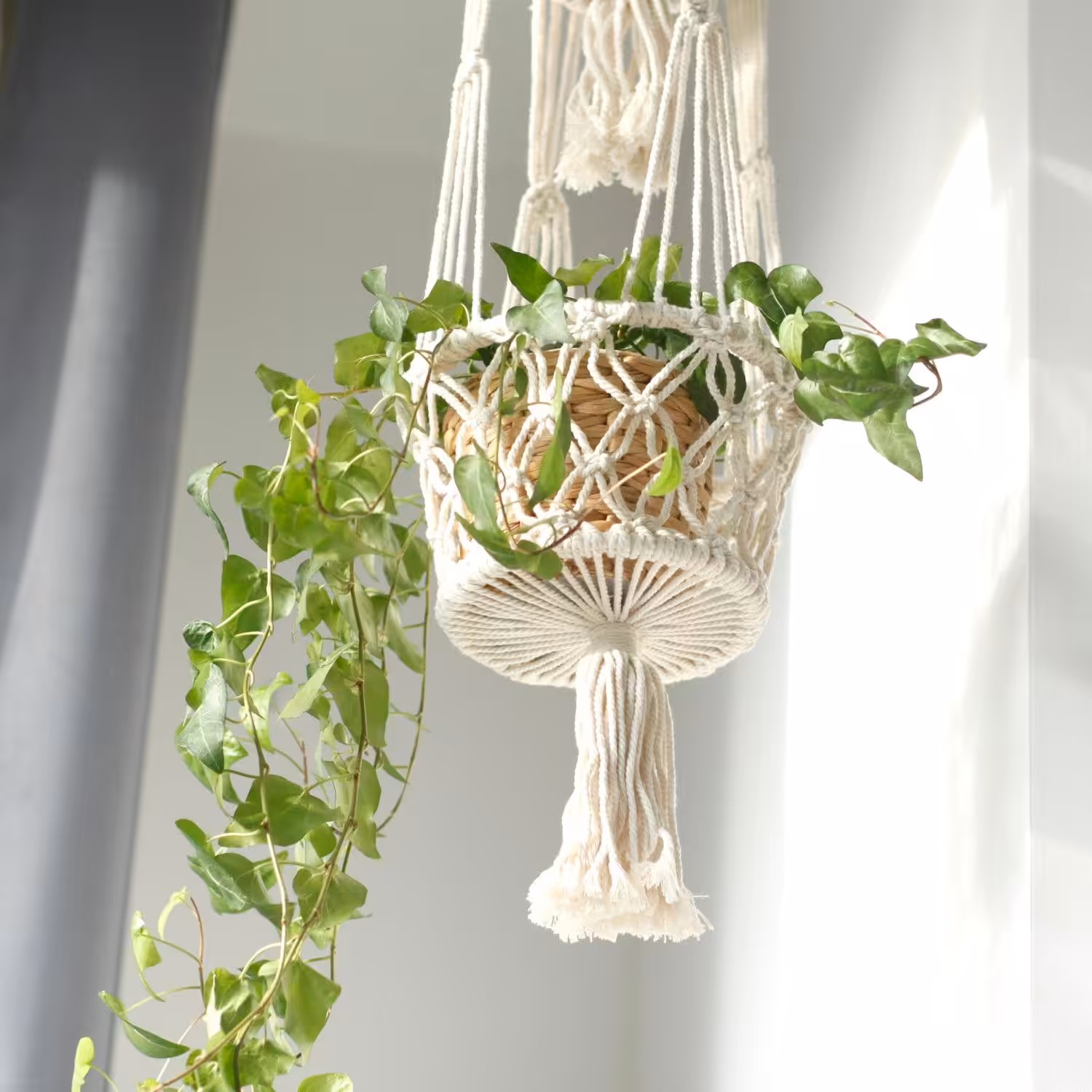 Macrame Pot Holder – Double Holder | www.artisan-gifts.co.uk 10 Macrame Pot Holder – Double Holder | www.artisan-gifts.co.uk 9