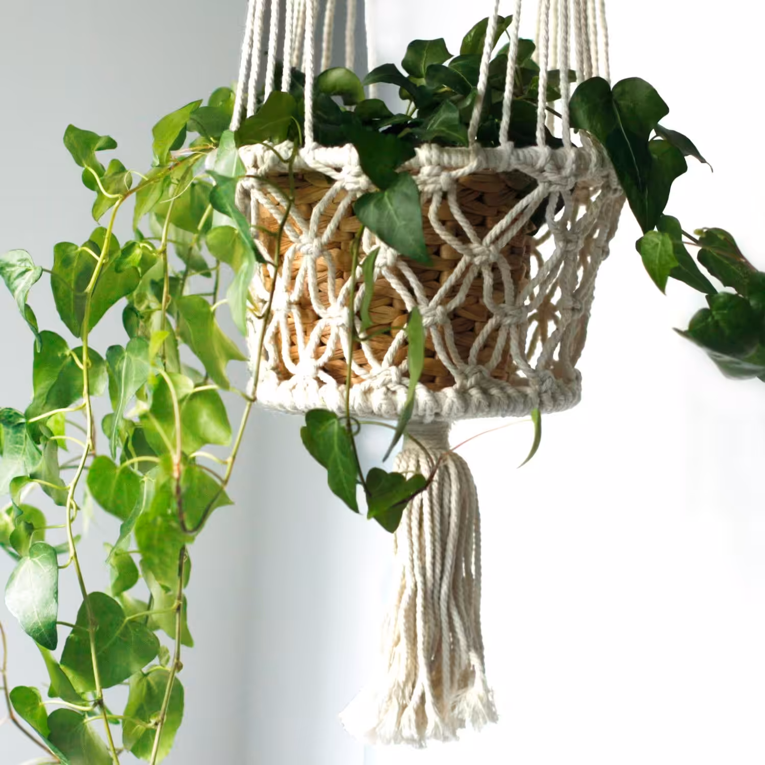 Macrame Pot Holder – Double Holder | www.artisan-gifts.co.uk 4 Macrame Pot Holder – Double Holder | www.artisan-gifts.co.uk 3